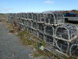 de nombreuses cages à homards alignées au bord de la route