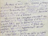 Photo 1/2 du lot