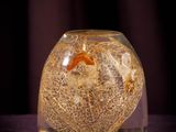 a glass vase with a fish inside of it on a table