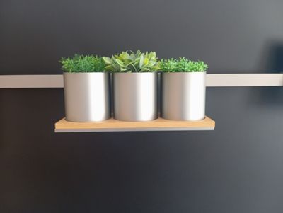trois pots de fleurs posés sur une étagère dans une pièce