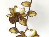 un vase contenant des fleurs, posé sur une table