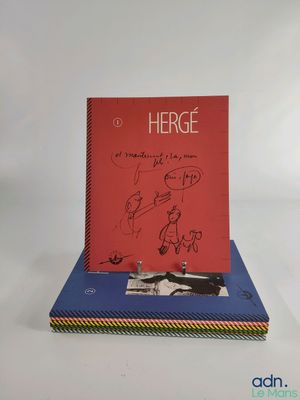 Tintin - Revue Hergé - 7 numéros avec DVD - Ce lot chez vous…