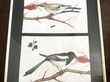 deux photos d'oiseaux perchés sur les branches d'un arbre