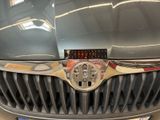 a close up of a car ' s grill and badge on it