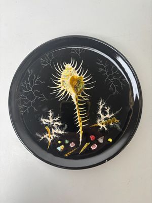 a black plate with a seahorse on it on a white wall
