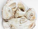 two fish that are sitting on top of each other