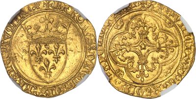 a gold coin with a crown on the front and a shield on the back