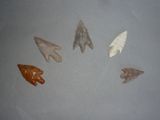 Plusieurs types de pointes de flèche sont exposés sur une surface grise