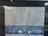 a picture of a painting on display in a glass case