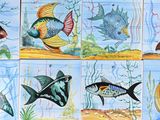 many different types of fish painted on the tile