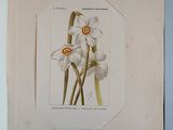 a picture of a book with a picture of flowers on it