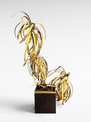 sculpture représentant une plante dorée dans une boîte noire sur fond blanc