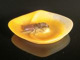 a small insect that is sitting in a yellow bowl