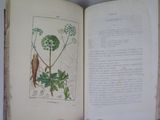 an open book with a picture of a plant on it