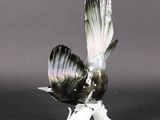 a bird that is sitting on top of a white object