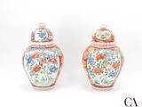 paire de vases chinois à motifs floraux sur fond blanc