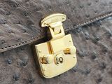 an ostrich leather bag with a gold lock on the handle