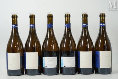 six bouteilles de vin sont alignées sur une table