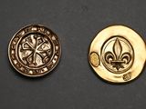 a close up of two gold buttons with a fleur de lis on them