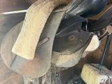 une selle de cheval sur laquelle est perché un oiseau