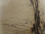 drawing of a tree in a field with a mountain in the background
