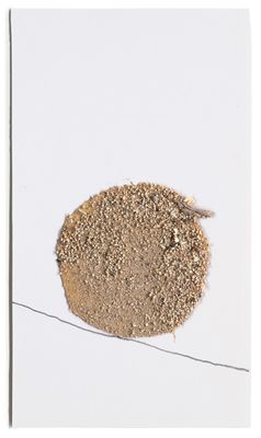 a picture of a bird sitting on a wire with a white background