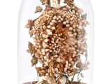 une cloche en verre contenant un bouquet de fleurs