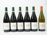 six bouteilles de vin sont alignées sur une surface blanche