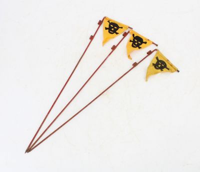 three flags with a skull and crossbone design on them