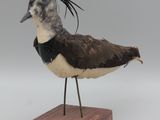 un petit oiseau posé sur un socle en bois