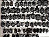a display of many beetles on a wall in a room