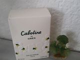 une petite plante qui se trouve à côté d'un coffret de parfum