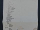 a close up of a piece of paper with writing on it