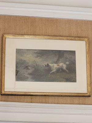a picture of a picture of a dog running in the water