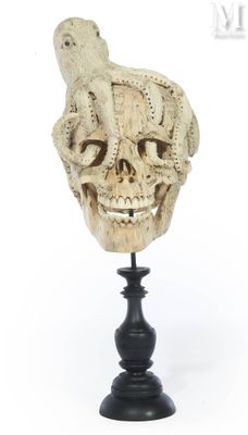 an image of a skull with a lizard on top of it ' s head