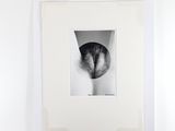 a black and white photo of a cat ' s face in a picture frame