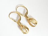 pair of gold tone earrings with a tear shaped drop on each ear