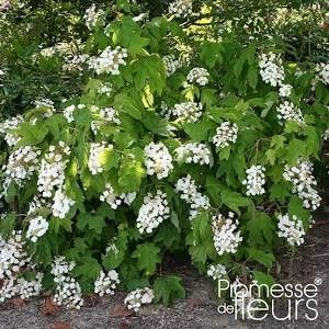 Destockage & Invendus