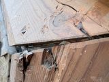 a close up of a piece of wood that has been damaged