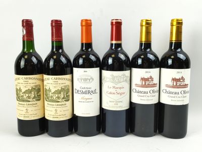 six bouteilles de vin sont alignées sur une surface blanche