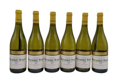 six bottles of white wine are lined up in a row
