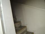 a cat that is sitting on the stairs in the house