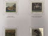 four framed pictures of horses on display on the wall