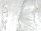 a close up of a statue of a man ' s face