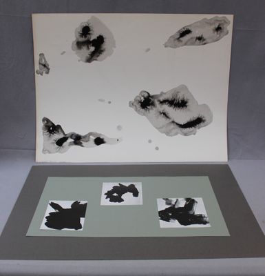 une photo d'une carte sur laquelle figurent un chien et un chat