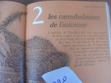 Photo 26/27 du lot