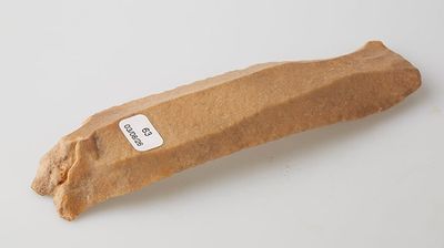 a piece of bread that has a sticker on it