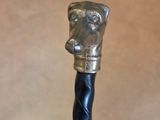 a close up of a walking stick with a bear head on it