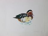 painting of a duck sitting on top of a body of water