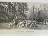 many dogs that are standing in front of a man on a horse drawn carriage